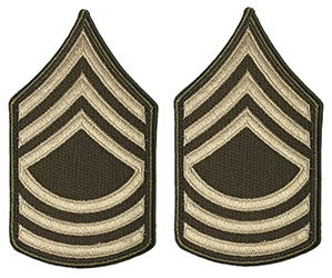 AGSU CHEVRONS E8 Master Sergeant 